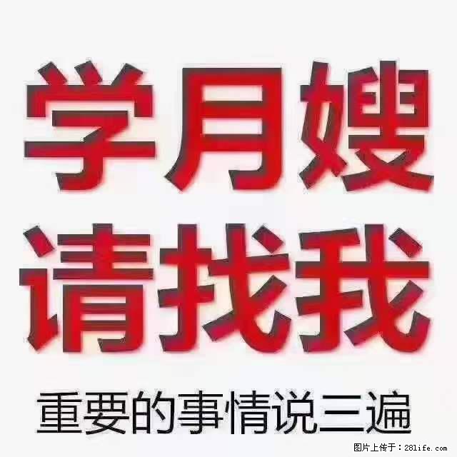 为什么要学习月嫂,育婴师? - 其他广告 - 广告专区 - 凉山分类信息 - 凉山28生活网 liangshan.28life.com