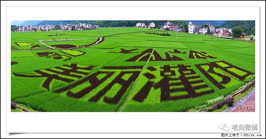 【春天，广西桂林灌阳县向您发出邀请！】开篇 - 游山玩水 - 凉山生活社区 - 凉山28生活网 liangshan.28life.com