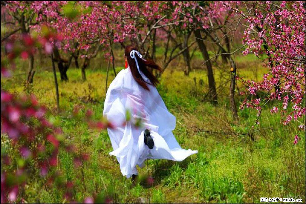 【春天,广西桂林灌阳县向您发出邀请!】官庄村有个醉美的桃花园 - 游山玩水 - 凉山生活社区 - 凉山28生活网 liangshan.28life.com