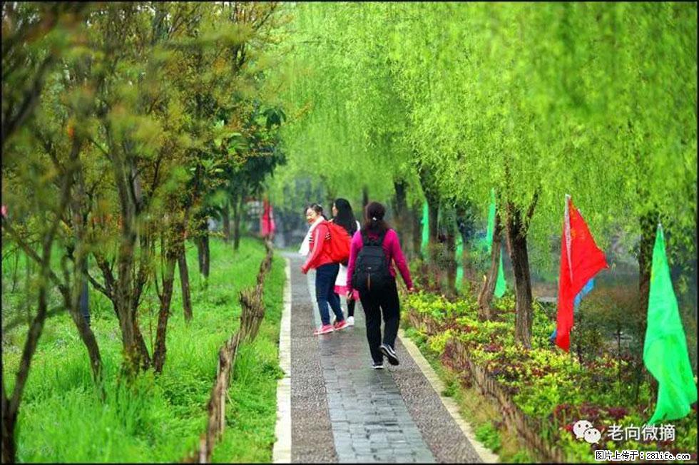 【春天，广西桂林灌阳县向您发出邀请！】江口老街又逢春 - 游山玩水 - 凉山生活社区 - 凉山28生活网 liangshan.28life.com