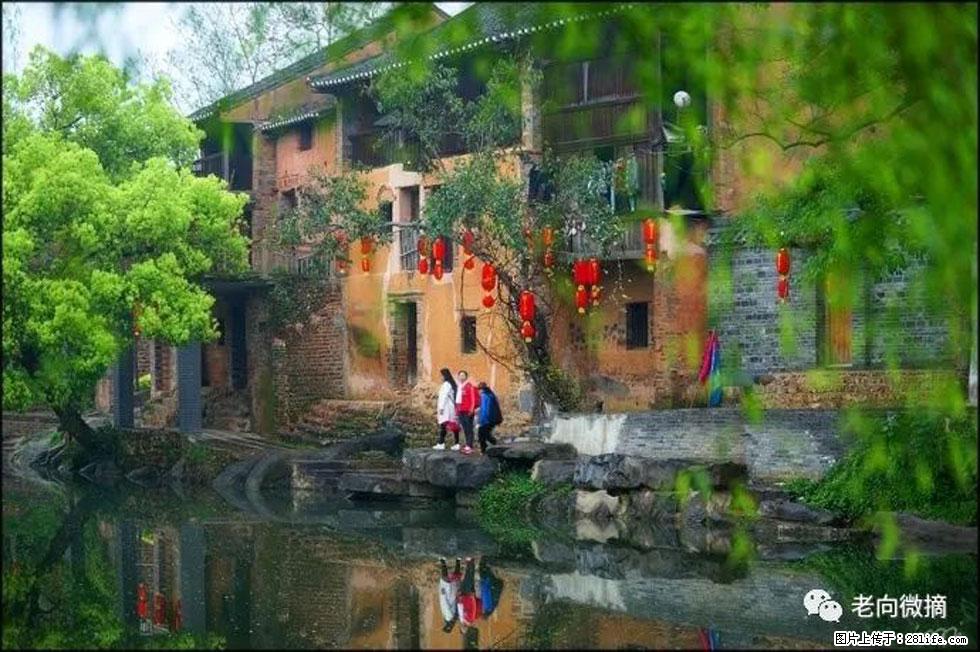 【春天，广西桂林灌阳县向您发出邀请！】江口老街又逢春 - 游山玩水 - 凉山生活社区 - 凉山28生活网 liangshan.28life.com