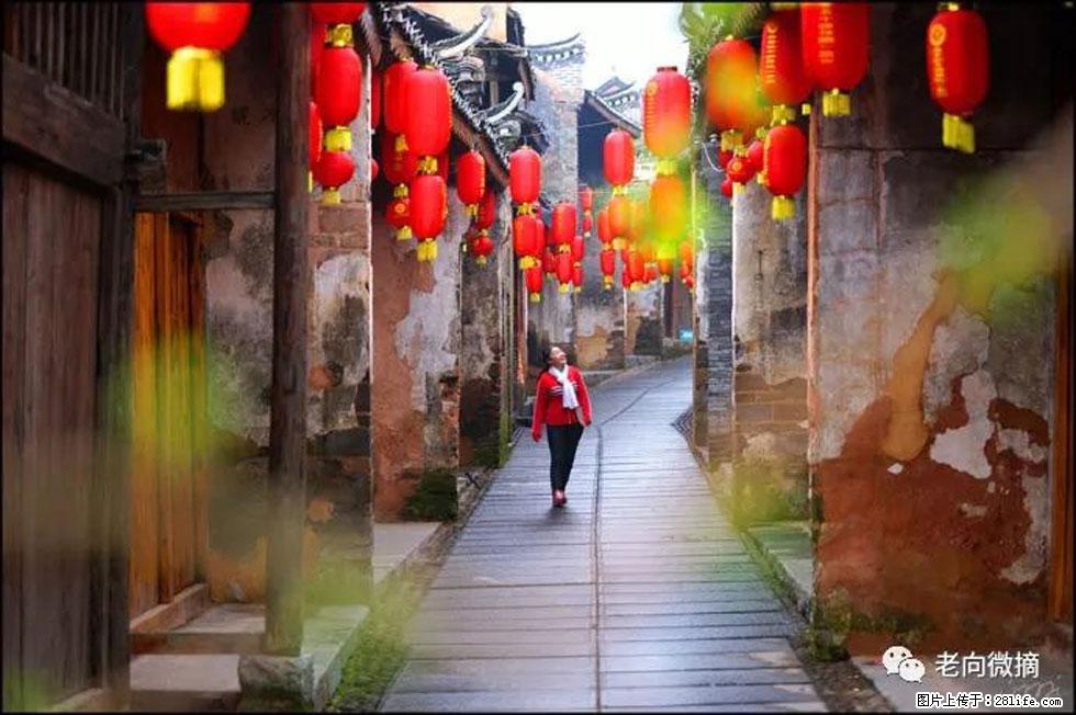 【春天，广西桂林灌阳县向您发出邀请！】江口老街又逢春 - 游山玩水 - 凉山生活社区 - 凉山28生活网 liangshan.28life.com