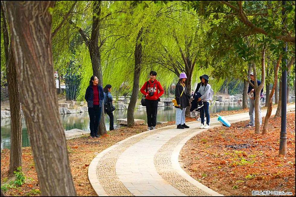 【春天，广西桂林灌阳县向您发出邀请！】江口老街又逢春 - 游山玩水 - 凉山生活社区 - 凉山28生活网 liangshan.28life.com