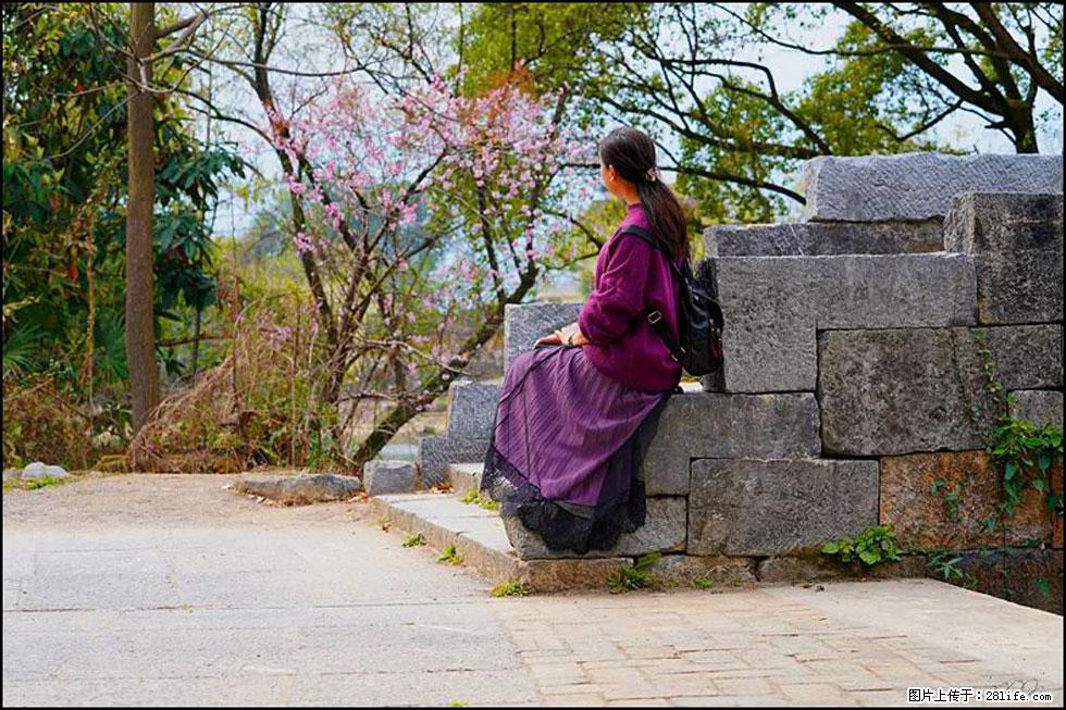 【春天，广西桂林灌阳县向您发出邀请！】江口老街又逢春 - 游山玩水 - 凉山生活社区 - 凉山28生活网 liangshan.28life.com