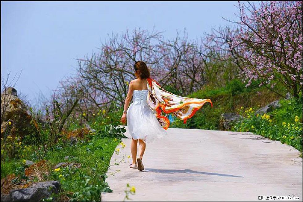 【春天，广西桂林灌阳县向您发出邀请！】望月岭上桃花开 - 游山玩水 - 凉山生活社区 - 凉山28生活网 liangshan.28life.com