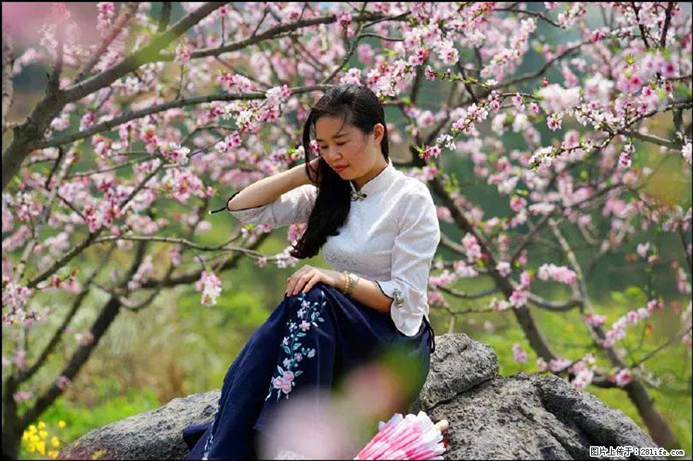 【春天，广西桂林灌阳县向您发出邀请！】望月岭上桃花开 - 游山玩水 - 凉山生活社区 - 凉山28生活网 liangshan.28life.com