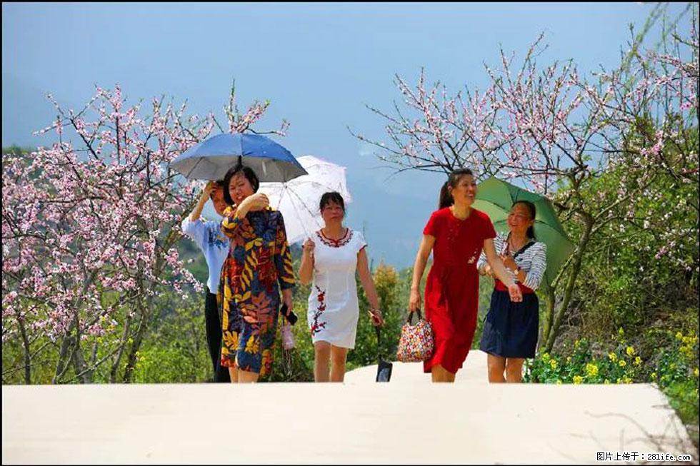 【春天，广西桂林灌阳县向您发出邀请！】望月岭上桃花开 - 游山玩水 - 凉山生活社区 - 凉山28生活网 liangshan.28life.com