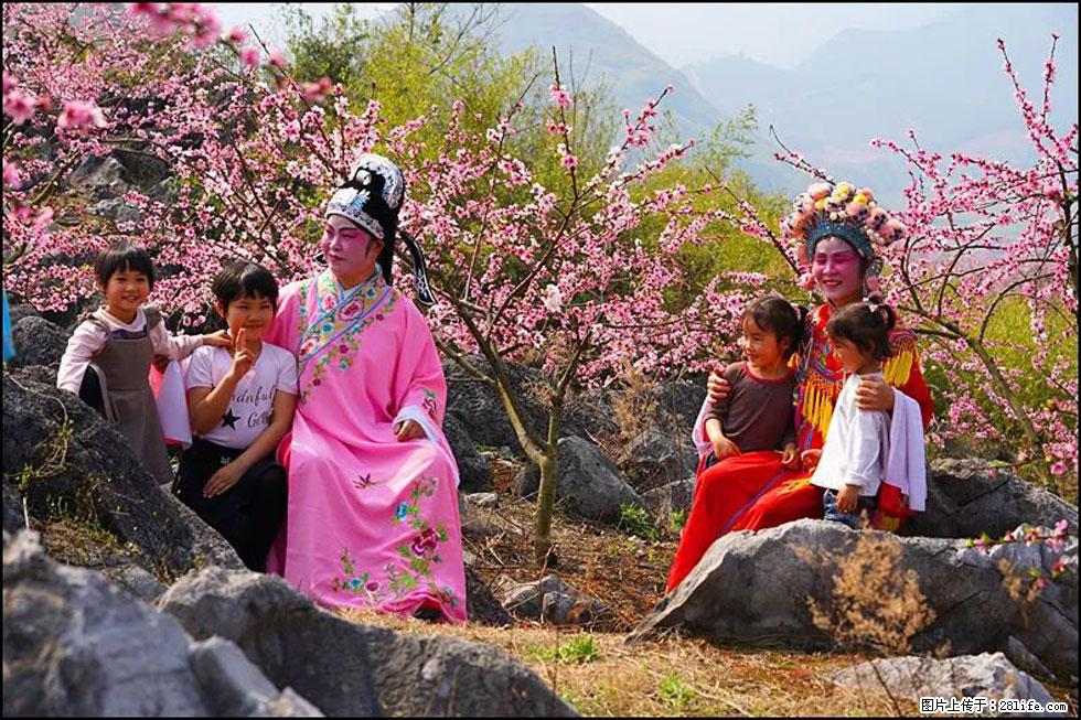 【春天，广西桂林灌阳县向您发出邀请！】望月岭上桃花开 - 游山玩水 - 凉山生活社区 - 凉山28生活网 liangshan.28life.com