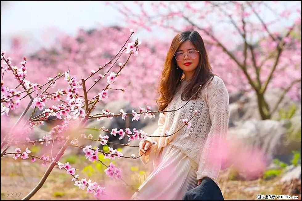 【春天，广西桂林灌阳县向您发出邀请！】望月岭上桃花开 - 游山玩水 - 凉山生活社区 - 凉山28生活网 liangshan.28life.com