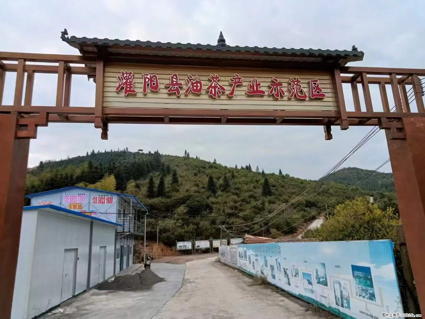 【灌阳县油茶产业示范区】一个有着充实的精神生活的人，对待身外之物自会有一种淡泊的态度 - 美食天地 - 凉山生活社区 - 凉山28生活网 liangshan.28life.com