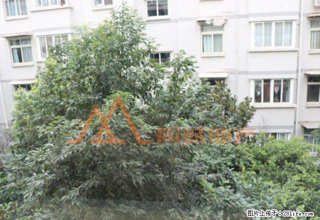 湿地公园附近 火把广场旁边 精装3室 可拧包入住 - 房屋出租 - 房屋租售 - 凉山分类信息 - 凉山28生活网 liangshan.28life.com