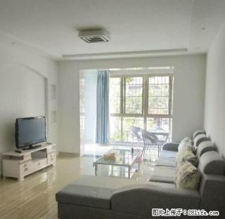 火把广场 威尼斯半岛 精装2室 拎包入住 只租讲究爱干净的人 - 凉山28生活网 liangshan.28life.com