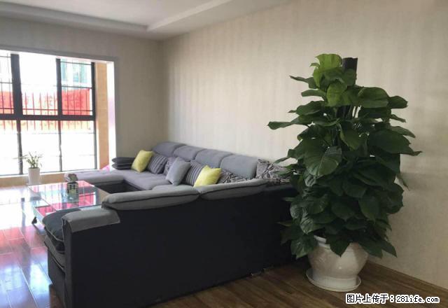 离 邛 海 近，精装三室观景房，你还在犹豫？？？ - 房屋出租 - 房屋租售 - 凉山分类信息 - 凉山28生活网 liangshan.28life.com