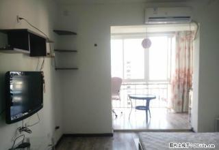 靓房抢租， 海河帝景B区 精装1室 装修很不错。手慢就没了。 - 凉山28生活网 liangshan.28life.com