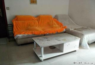 煤疗小区精装修电梯公寓，拎包入住 - 凉山28生活网 liangshan.28life.com