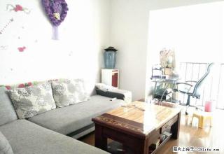 市中心金地华府 电梯公寓 精装套二 家电齐全 办公住家都合适 - 凉山28生活网 liangshan.28life.com