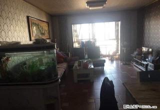 航天阳光旁 电梯公寓 精装套三双卫 家电齐全 - 凉山28生活网 liangshan.28life.com