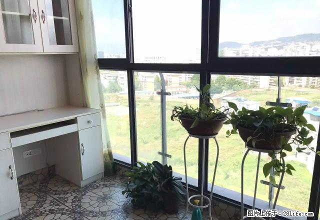 湿地公园,阳光学校旁边,2018精装电梯公寓,只要2300! - 房屋出租 - 房屋租售 - 凉山分类信息 - 凉山28生活网 liangshan.28life.com