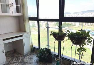 湿地公园，阳光学校旁边，2018精装电梯公寓，只要2300！ - 凉山28生活网 liangshan.28life.com