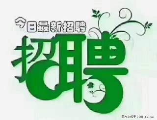上海青浦区招仓管 - 凉山28生活网 liangshan.28life.com