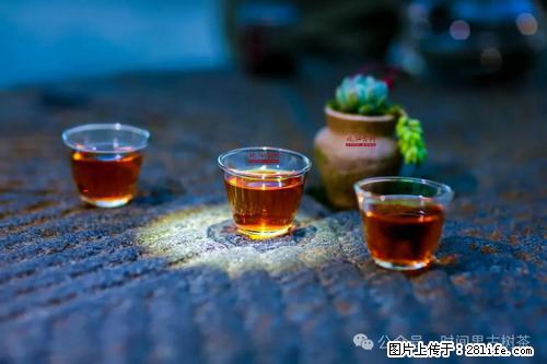 时间果百年古树2025年春红茶 - 购物交流 - 凉山生活社区 - 凉山28生活网 liangshan.28life.com