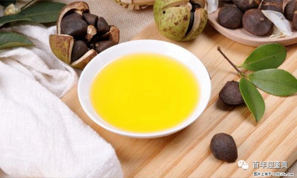 揭秘茶油的5大核心营养成分！被称为人体健康的“守护盾”！ - 凉山生活资讯 - 凉山28生活网 liangshan.28life.com