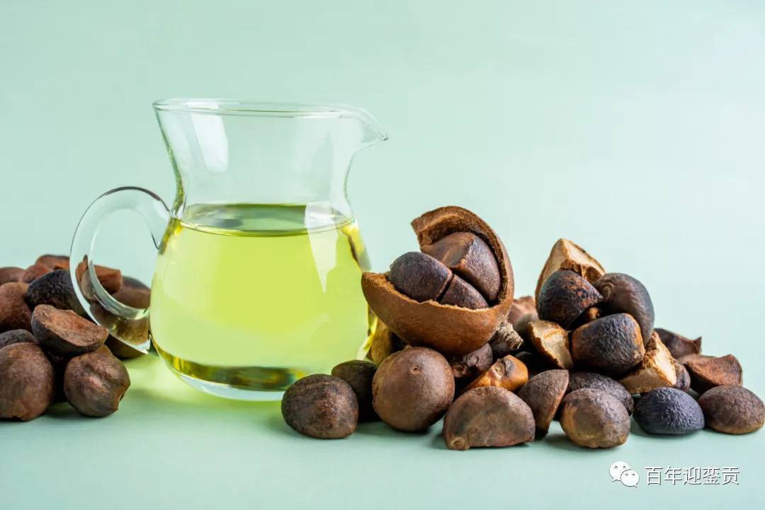 世界没有真相，只有认知，最好的食用油是中国的山茶油！ - 凉山生活资讯 - 凉山28生活网 liangshan.28life.com