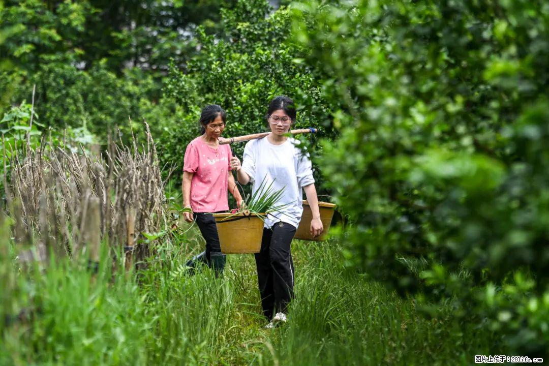 全网追的“扁担女孩”，找了一份暑假工，时薪12元 - 凉山生活资讯 - 凉山28生活网 liangshan.28life.com