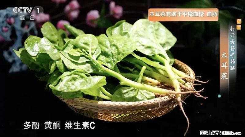 比牛奶补钙还厉害！凉血解毒、稳血糖...这菜冬天必吃，很多人却当草 - 凉山生活资讯 - 凉山28生活网 liangshan.28life.com