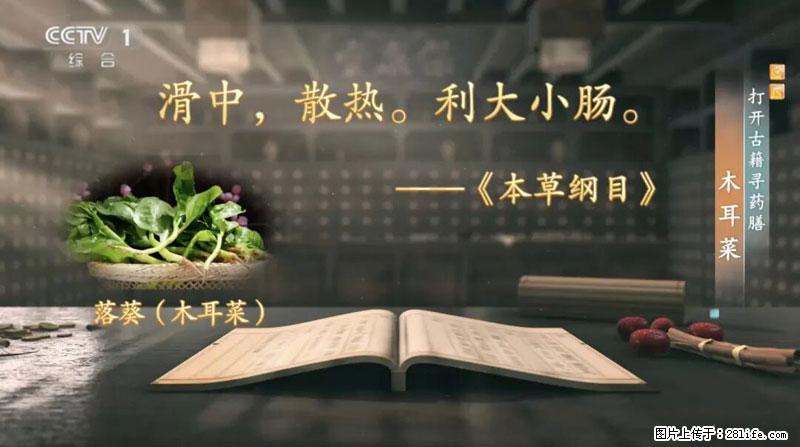 比牛奶补钙还厉害！凉血解毒、稳血糖...这菜冬天必吃，很多人却当草 - 凉山生活资讯 - 凉山28生活网 liangshan.28life.com