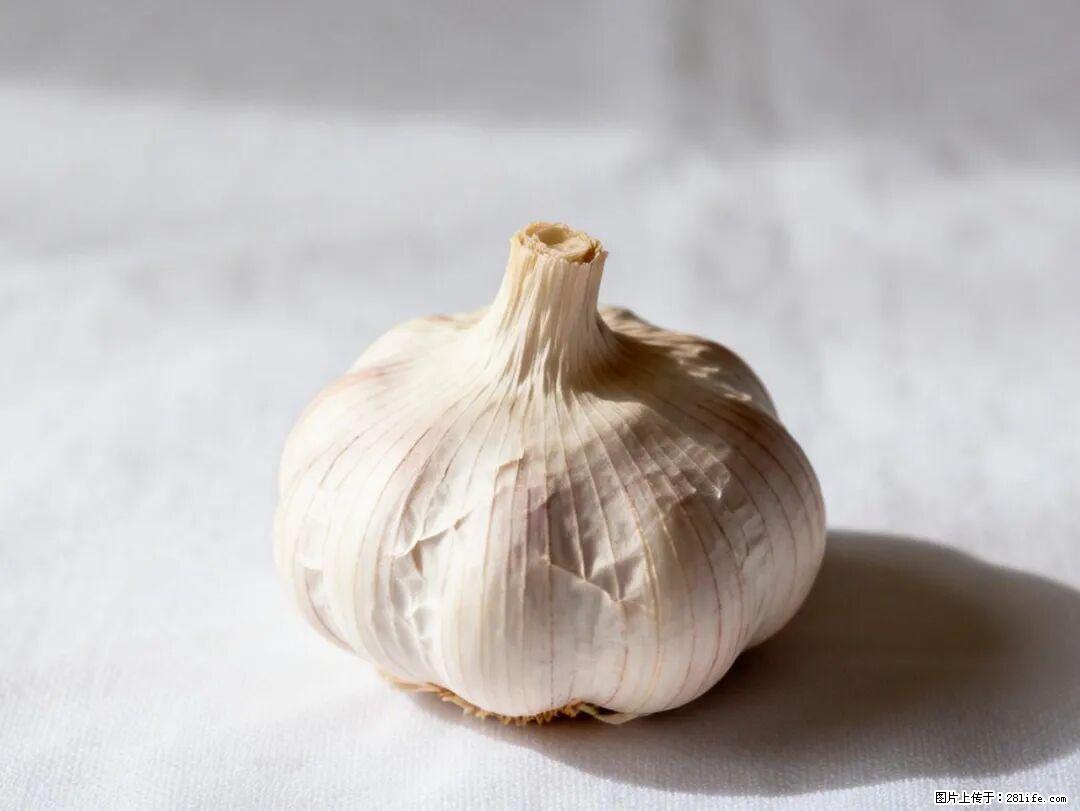 关于大蒜，除了“天然抗生素”，这4个谣言更该警惕! - 凉山生活资讯 - 凉山28生活网 liangshan.28life.com