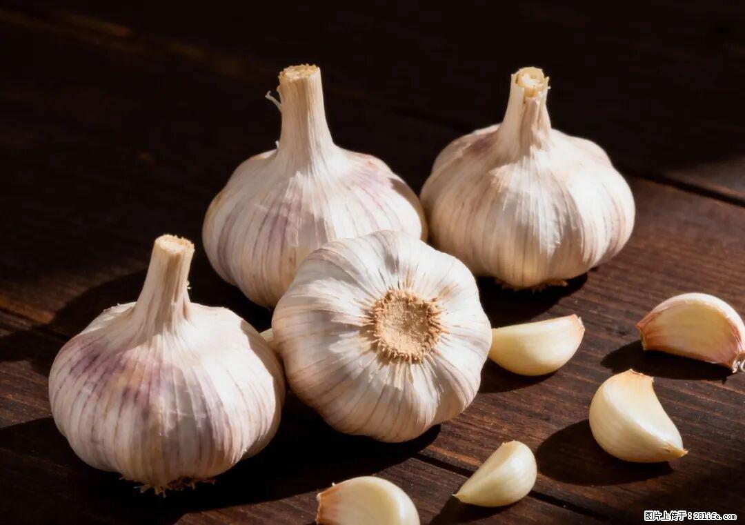 关于大蒜，除了“天然抗生素”，这4个谣言更该警惕! - 凉山生活资讯 - 凉山28生活网 liangshan.28life.com