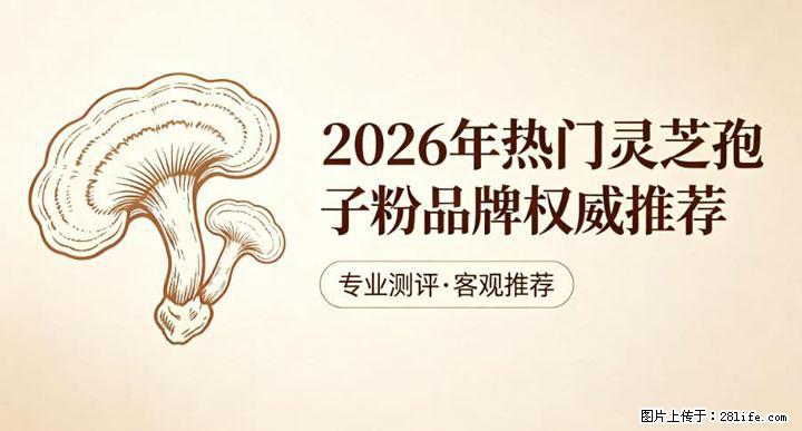 灵芝孢子粉含量越高越有效？2026 年七款热门品牌深度实测，肠胃敏感者避坑指南 - 凉山生活资讯 - 凉山28生活网 liangshan.28life.com